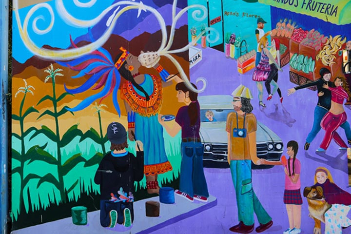 the mission district