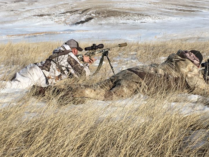 best rifle scope under 500