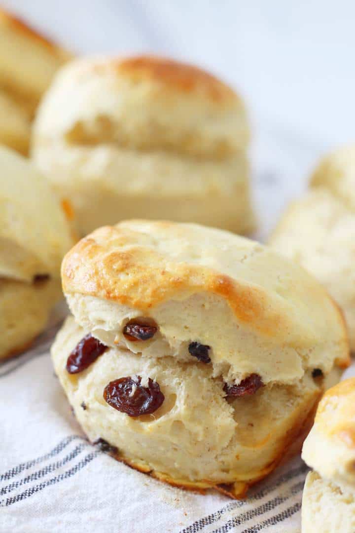 fruit scone