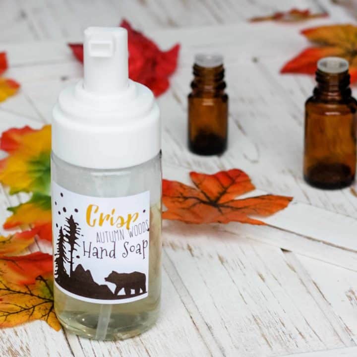 Autumn Woods Fall Foaming Hand Soap Recipe