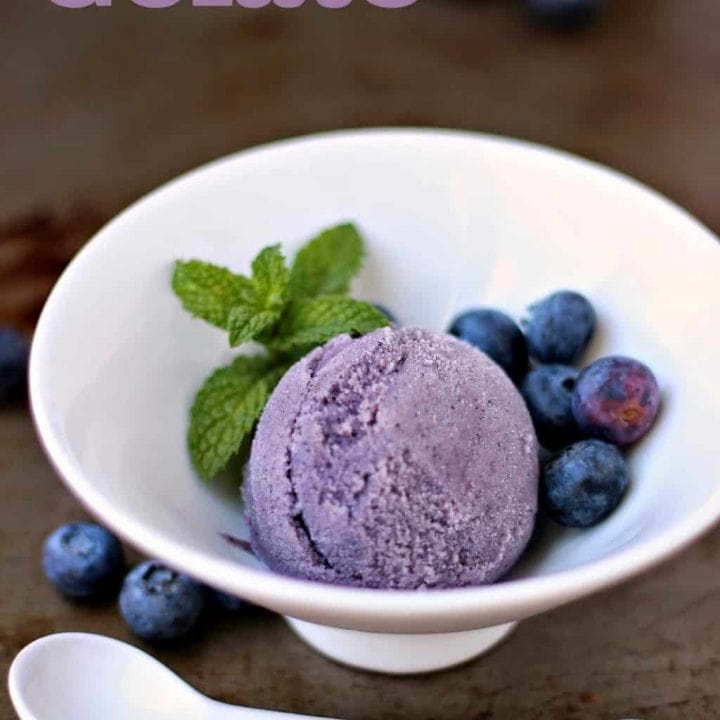 Blueberry Gelato