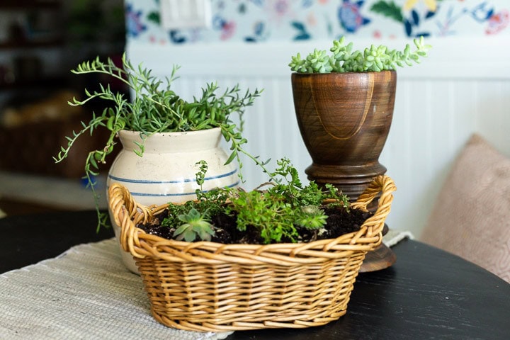 trois vases et paniers avec des plantes plantées dedans
