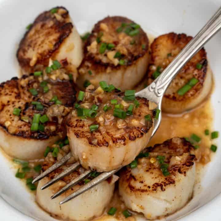 Spicy Scallop Scampi