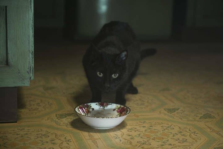 Najlepsze seriale horrory Netflix - produkcje, że strach się bać 15 najlepsze seriale horrory netflix