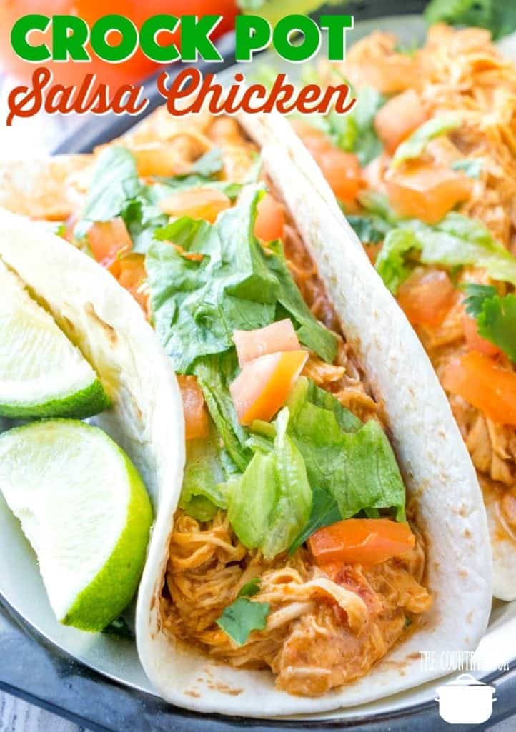 Crock Pot Shredded Salsa Taco Chicken recipe from The Country Cook