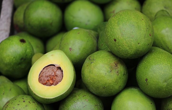 Avocado