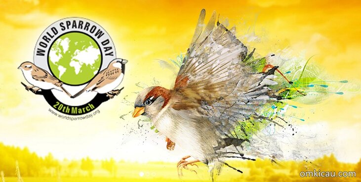 World Sparrow Day yang berlangsung pada tanggal 20 Maret setiap tahunnya