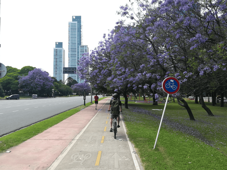 Bikers on the bike lane