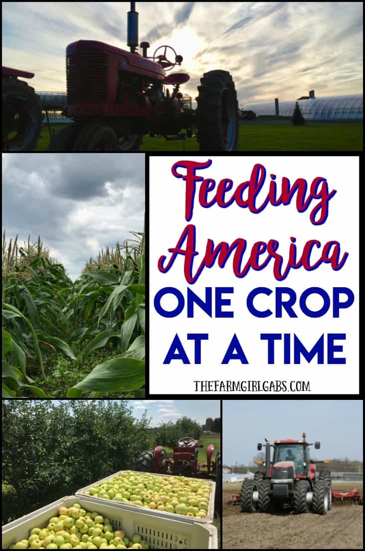 Feeding America One Crop At A Time The Farm Girl Gabs®