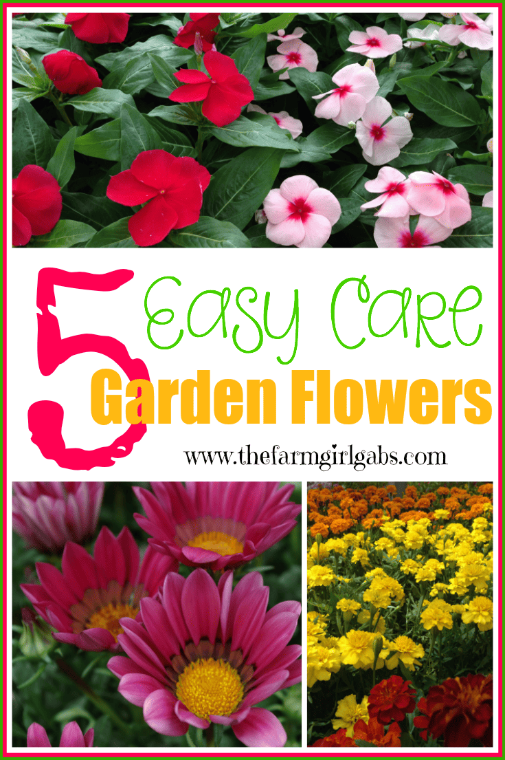 Five Easy Care Garden Flowers Www Thefarmgirlgabs Com
