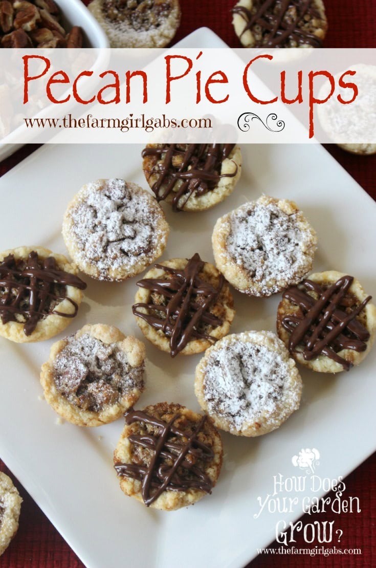 Pecan Pie Cups Www Thefarmgirlgabs Com 2 cups graham cracker crumbs. pecan pie cups www thefarmgirlgabs com