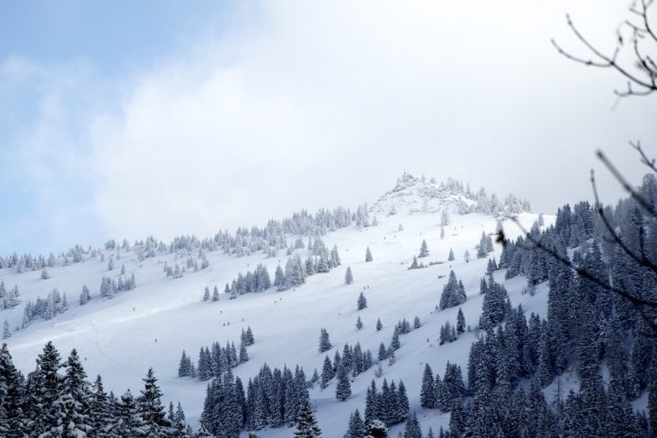 Schneeschuhwandern im Berchtesgadener Land 5 ISBL DSC 0484 2011