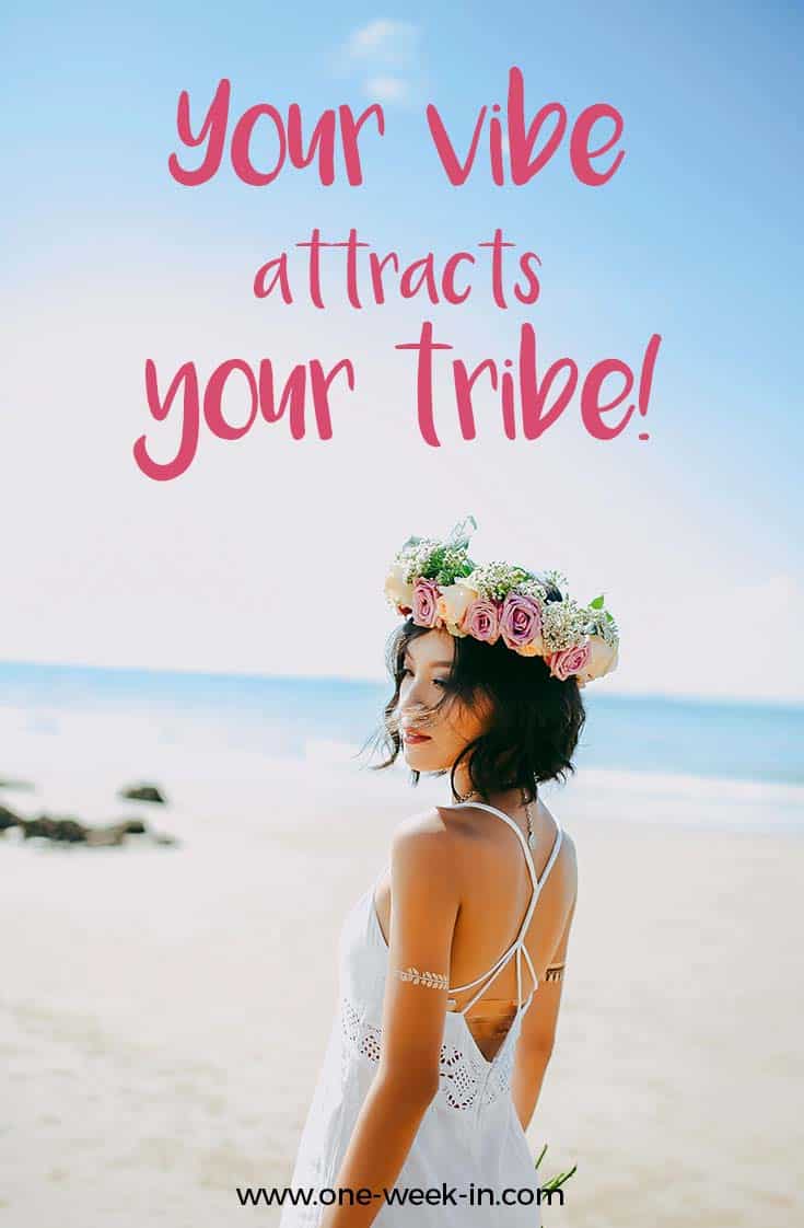 41 FUNNY Travel Quotes to MAKE you Laugh until you cry 2020