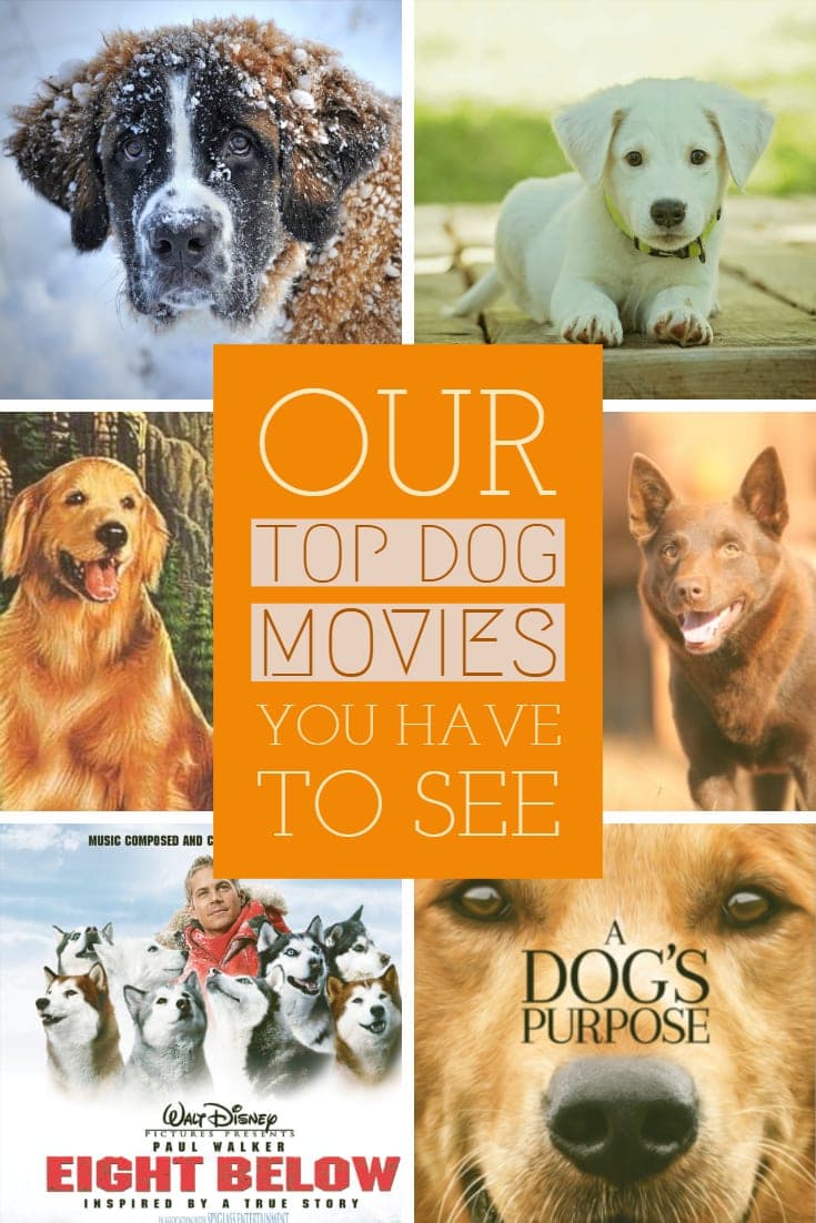 6 Most Incredible Dog Movies Of All Time 2019 Our Personal Favourites