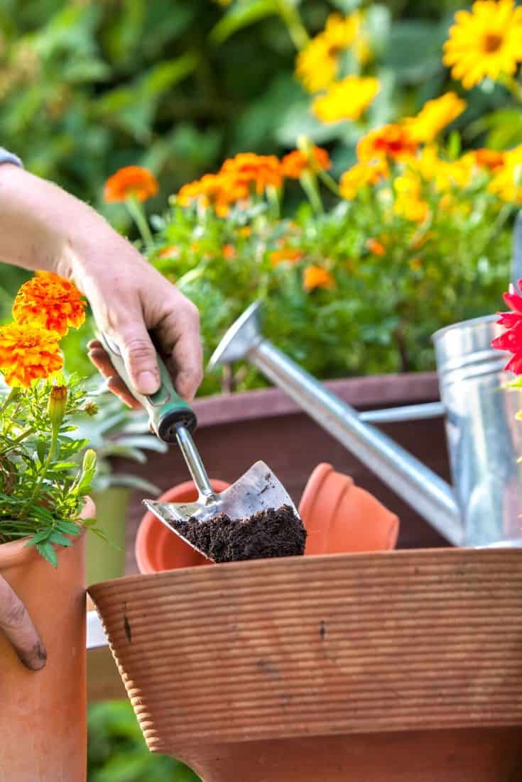 10 Ways To Get Your Gardens Ready For Spring The Farm