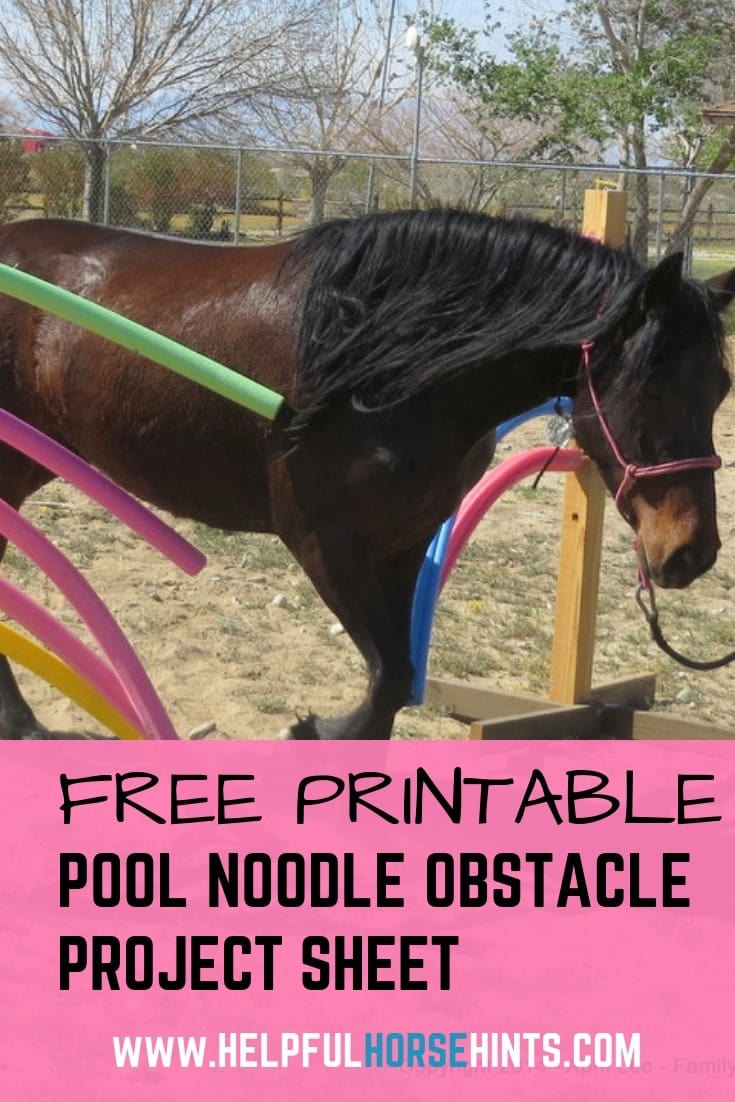DIY Pool Noodle Obstacle