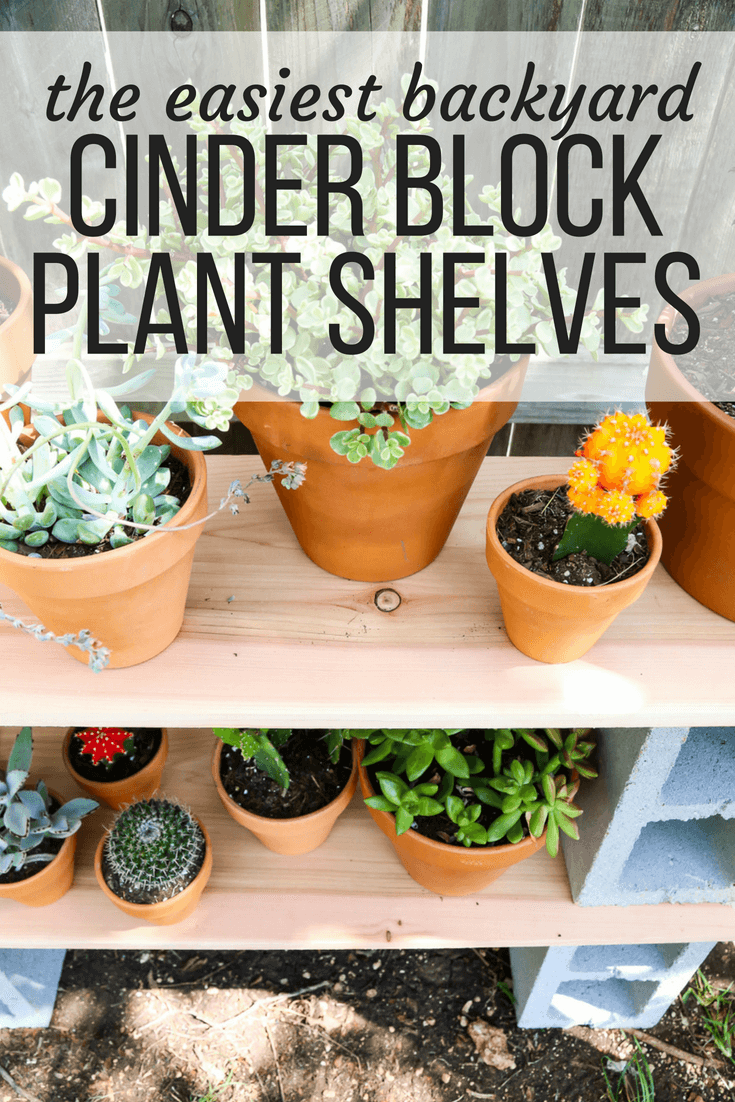 Easy Cinder Block Shelves Perfect for Plants - Love & Renovations