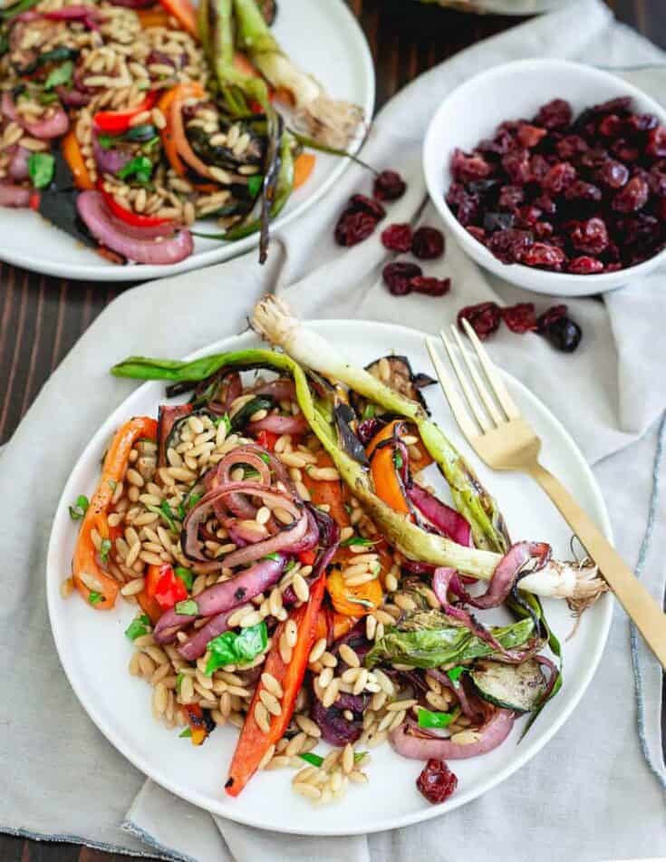 Tart Cherry Balsamic Grilled Summer Vegetable Orzo Salad