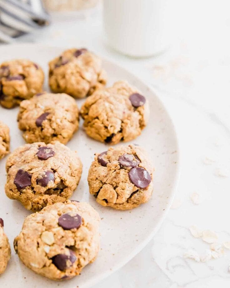gluten-free vegan oatmeal chocolate chip cookies