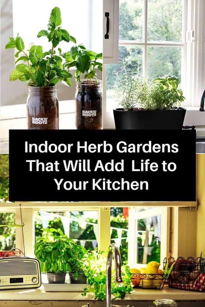 Indoor Herb Gardens That Will Add Life to Your Kitchen Indoor Herb Gardens That Will Add Life to Your Kitchen