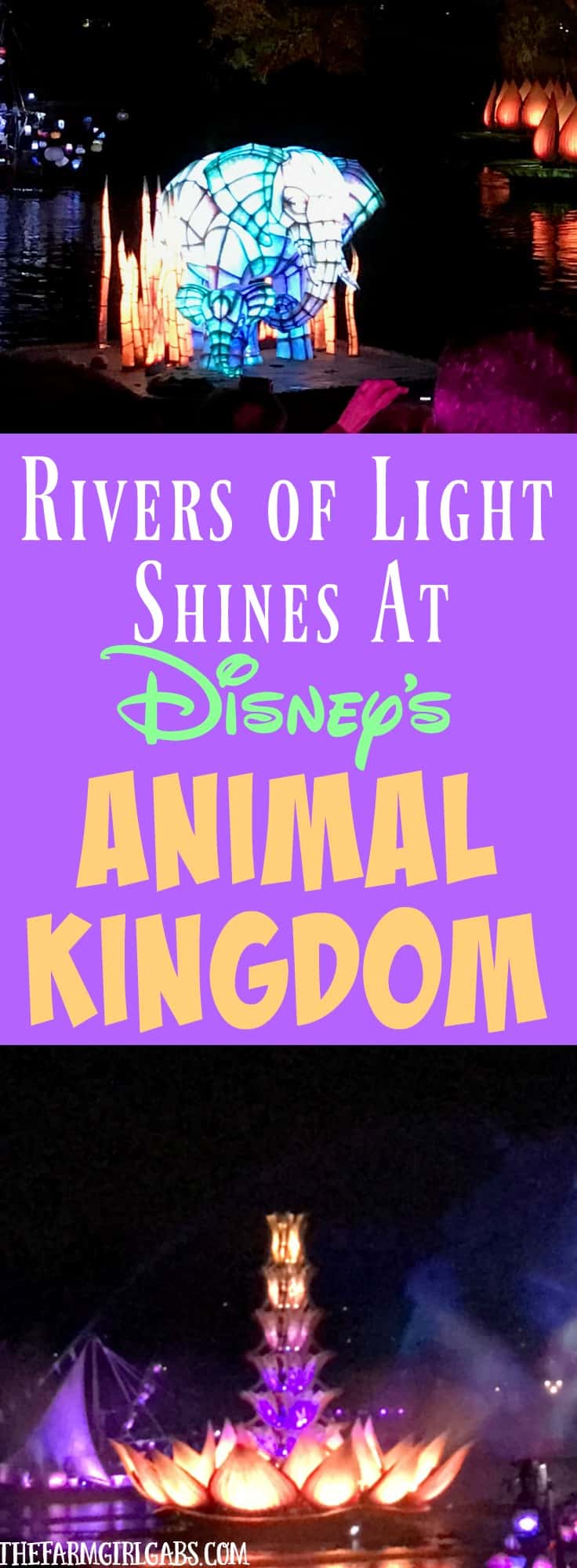 Rivers of Light Shines Bright At Animal Kingdom. This nighttime show at Walt Disney World embraces the magic of nature. #DisneySMMC
