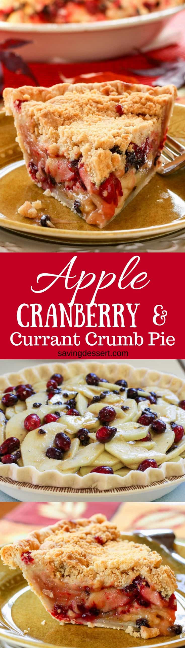 Apple, Cranberry & Currant Crumb Pie | www.savingdessert.com #pie #applepie #cranberry #Crumbpie