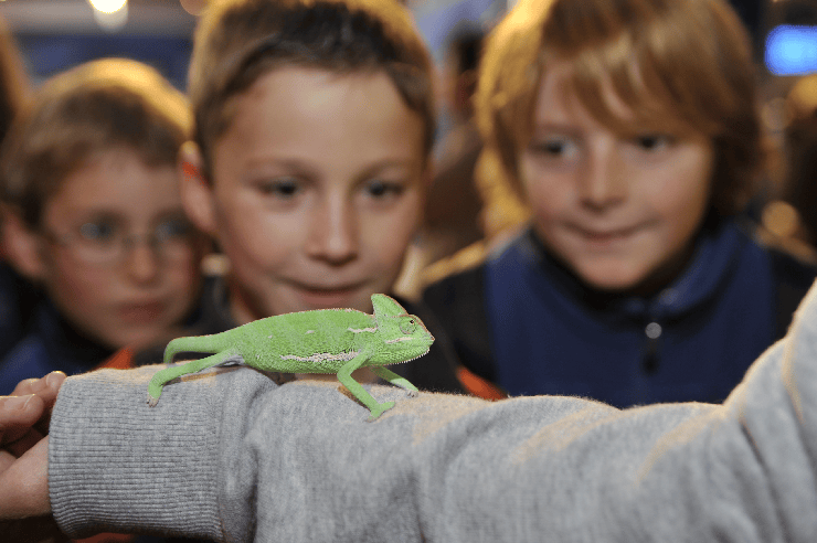 Foto: Europa Park, Science Days für Kinder