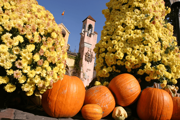 Foto: Europa-Park, Halloween