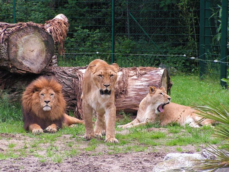 Foto: Jaderpark
