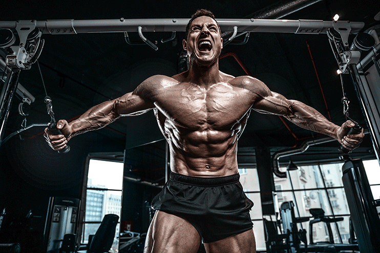 Best Supplements For Vascularity And Pump
