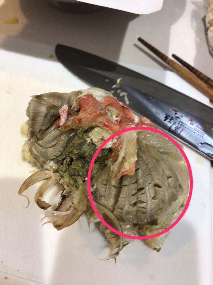 kani-taberu-jyunbi191112_017-2.jpg K冷凍ズワイガニのガニ部分イメージ画像2