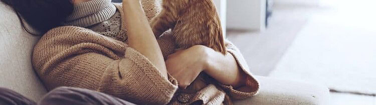 Cheristin for Cats Review Everything You Need To Know TinPaw