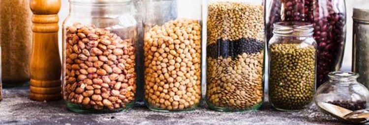 7 Low Carb Cat Food And Tips On How To Choose The Best Diet Tinpaw