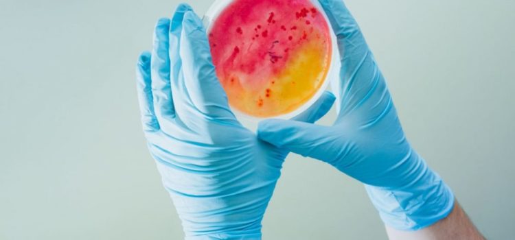 Webinar: On-site Lab Tests Are a Clinical Imperative—and Set Your Clinic Apart from the Rest Webinar: On-site Lab Tests Are a Clinical Imperative—and Set Your Clinic Apart from the Rest