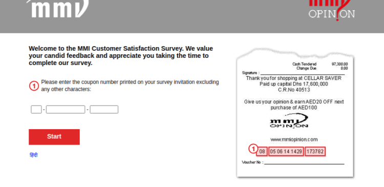 MMI Survey