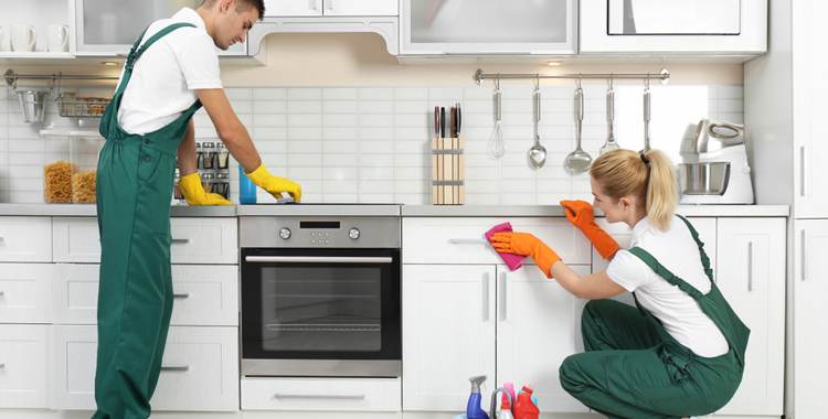 Kitchen Cleaning Services