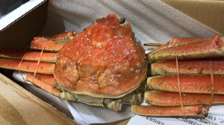 kani-taberu-jyunbi191112_002.jpg 冷凍されたカニは解凍が命!ここでカニの味が決まると言っても過言ではないイメージ画像
