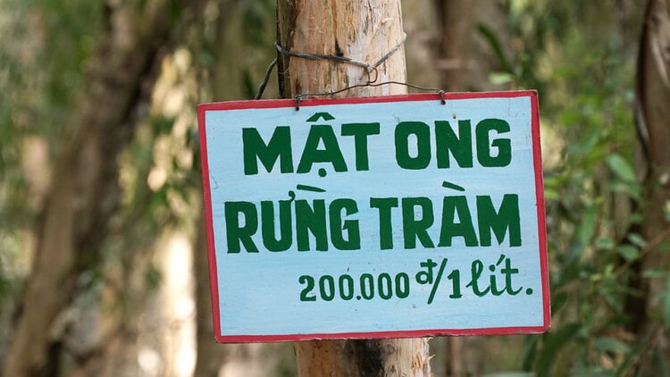 An Giang điểm đến hấp dẫn trong ngày cuối tuần ở miền Tây 13 Bảng rao bán mật ông rừng tràm