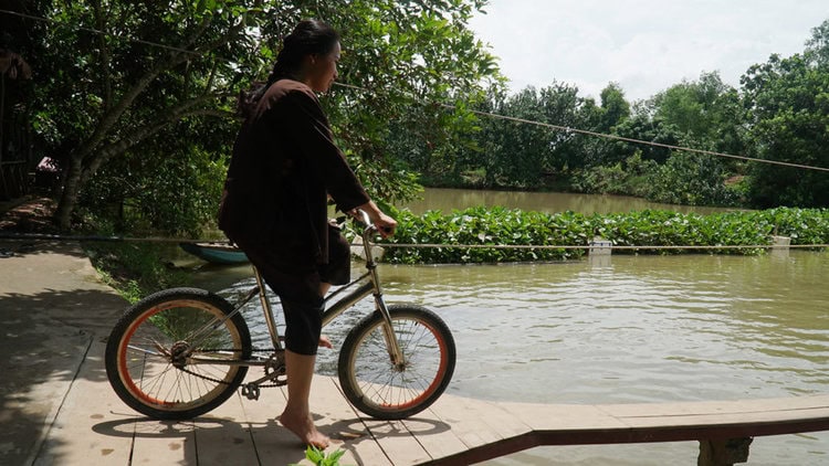 Khám phá Cù lao Mây KDL sinh thái miệt vườn Tám Trong ở Trà Ôn tỉnh Vĩnh Long 34 Chạy xe đạp qua cầu