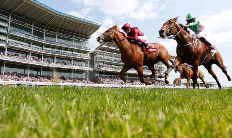 Horse racing tips TODAY: Horses you MUST back at Exeter, Newmarket and Wolverhampton | Racing | Sport