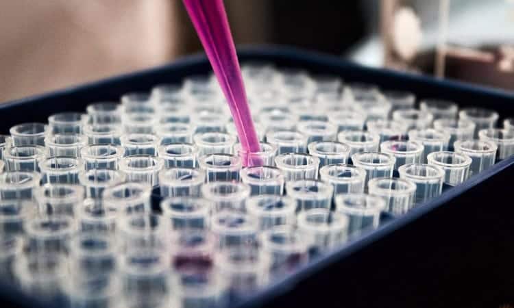 Phase 1 Signature Gyn Services Women's Health Clinical Trials Research Studies Fort Worth Texas