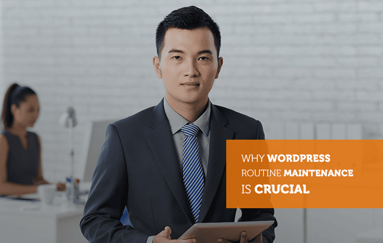 Why WordPress Routine Maintenance Is Crucial For Your Website?