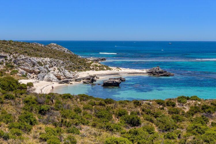 wyspa rottnest u wybrzeży australii