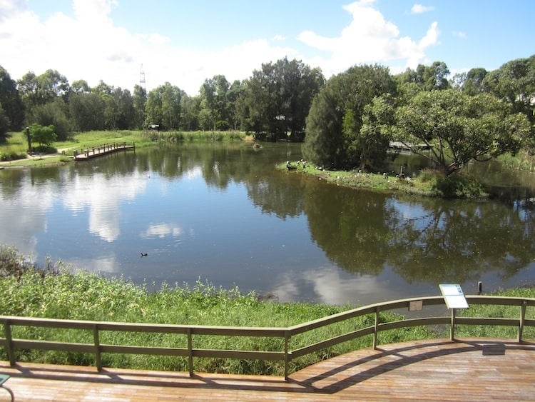 things to do outdoors in newcastle nsw