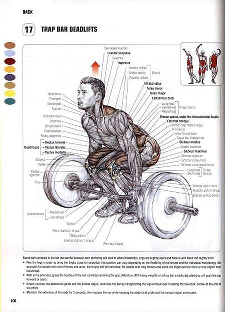 9 Hex Bar Deadlift Benefits to Get Fit Without Barbell Deadlifts