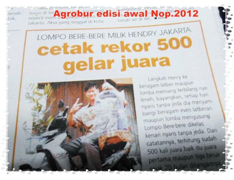 Kenari Lompo Bere-Bere