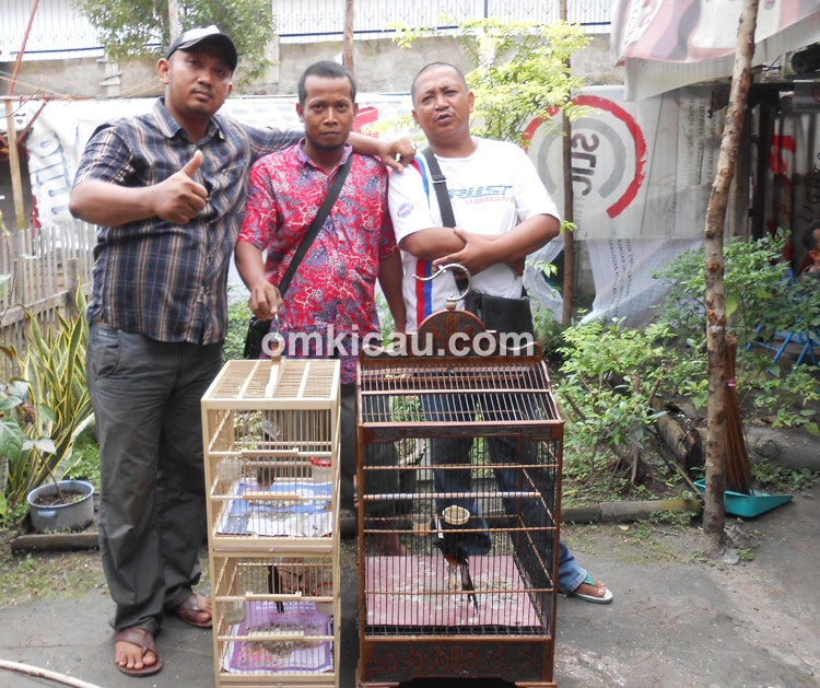 Didik 88 Bird Farm Jambi