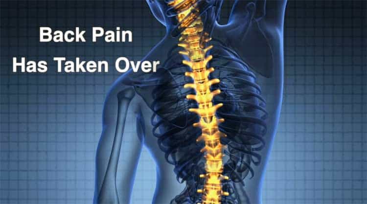 Erase My Back Pain Review