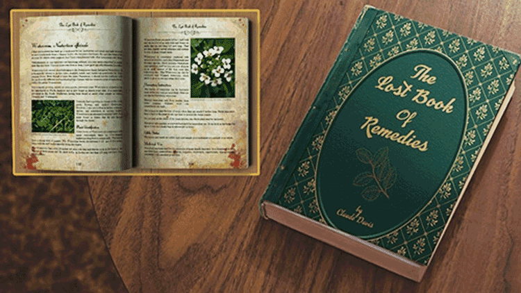 The Lost Book of Remedies Review