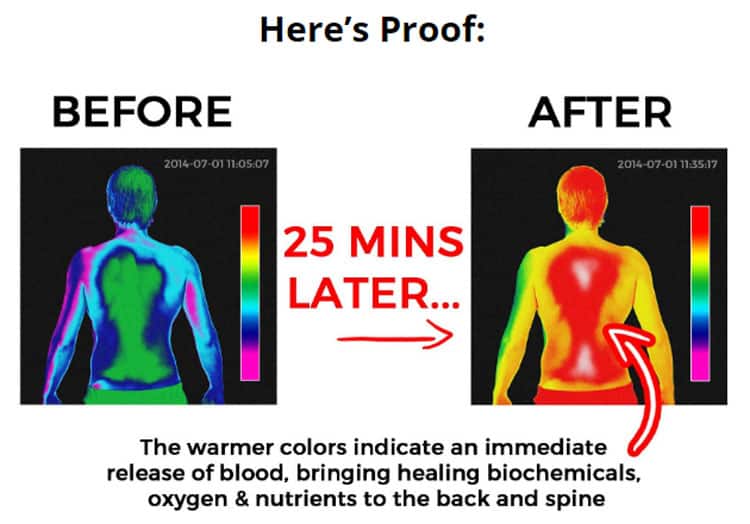 Back Pain Relief 4 Life Review | Does It Really Help You?